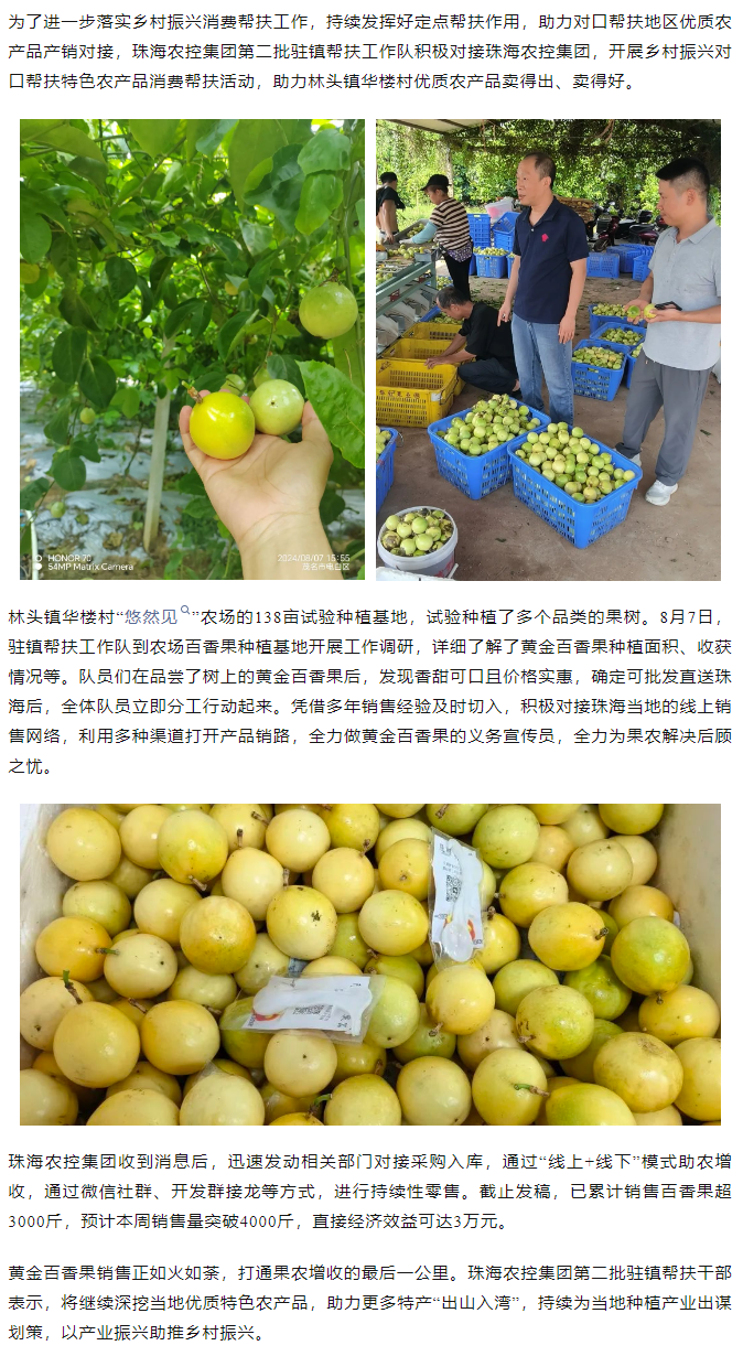 三亿体育_三亿(中国)一站式服务官方网站集团助力产销对接 对口帮扶果香飘百里.png